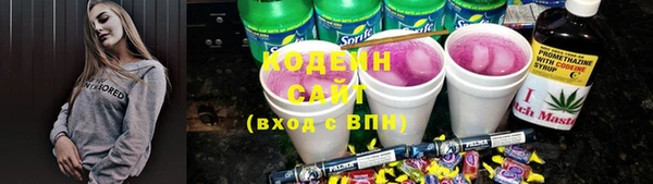 ECSTASY Богородицк