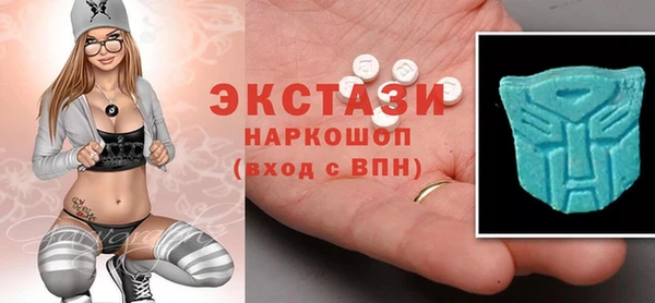 ECSTASY Богородицк