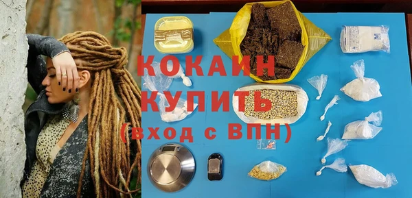 ECSTASY Богородицк