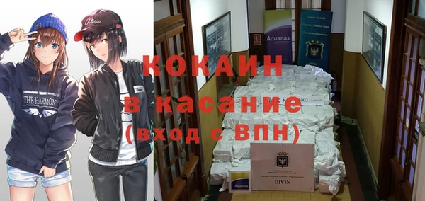 ECSTASY Богородицк