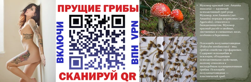Псилоцибиновые грибы мухоморы Балтийск
